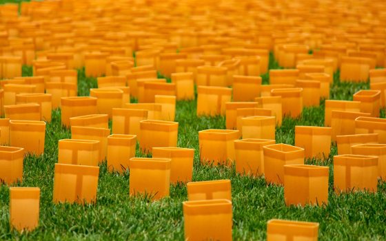 A lawn with dozens of luminaries on the ground.